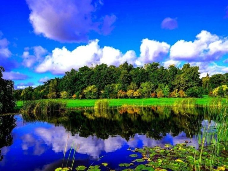 Bán đảo Đông Dương gồm những nước nào? Đặc điểm ra sao?